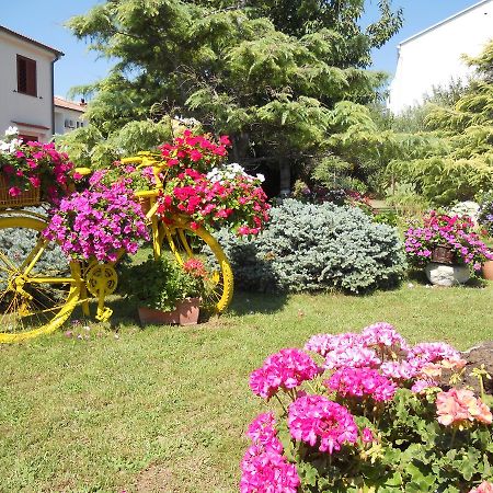 Apartments Mihalic Башка Екстер'єр фото